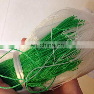 China manufacturer sponge cucumber support climbing plant net