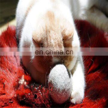 Amazon Best Sale Catnip Ball Wool photo-2