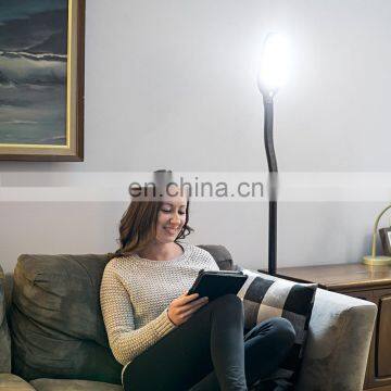 New Style Chinese Floor Lamp With Adjustable Brightness photo-3