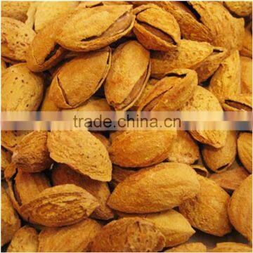 roasted almonds with shell