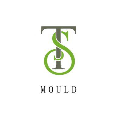 Taizhou Huangyan Tongsheng mould Co., Ltd