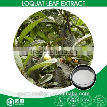 High Quality 25%,50%,90%,98% HPLC Loquat Leaf Extract Ursolic Acid Powder