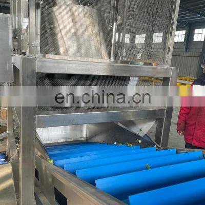 Fully Automatic Vegetable and Fruit Washing Machine Processed Vegetables Processing Equipment