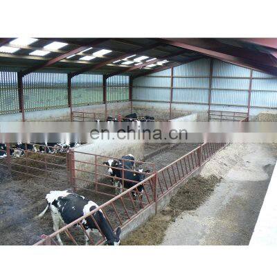 Low Cost Industrial Shed Design Steel Structure Farming Cow Breeding Shed in Algeria