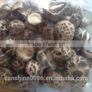 High Quality Dried Shiitake Flower Mushroom photo-3