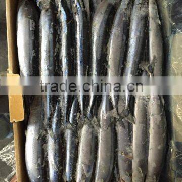 2015 Seafrozen Pacific Saury Whole Round 1#:120-140g/pc photo-2