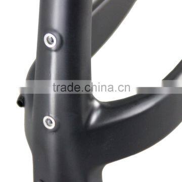 Top Selling Mountain Bike 29er Plus Mtb Carbon Frame 29+ With Thru Axle 148*12 Max Tire 3.0 photo-4