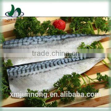 Wholesale china canned salted dried mackerel