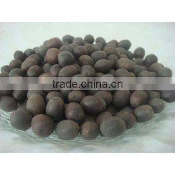 DRIED BLACK LOTUS SEED BEST QUALITY_MOST COMPETITIVE PRICE
