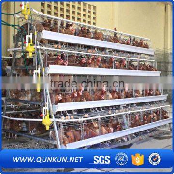 Chicken and Poultry Farming Use Type Poultry Farming Equipment photo-3