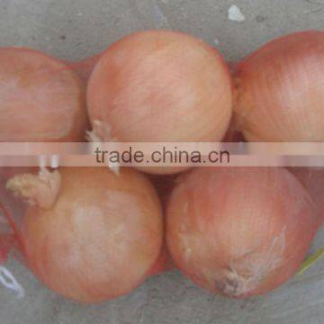 wholesale onions