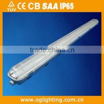 transparent polycarbonate diffuser fixture IP65 basement light TUV