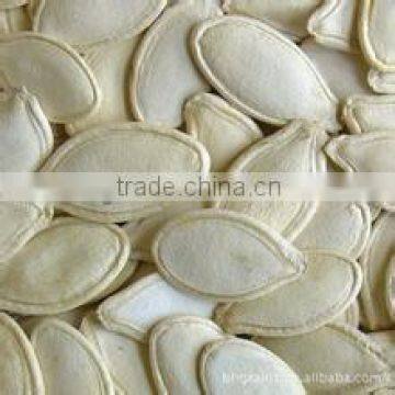 New crop shine skin pumpkin seeds -13mm