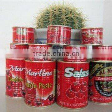 Top Quality Tomato Paste, Ketchup 800gram photo-4