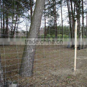 Durable galvanized steel cheap fireld fence