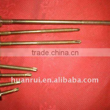 basseterre market screw nails