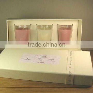 2013 Decorative plant scents soy candle in set box, art candle