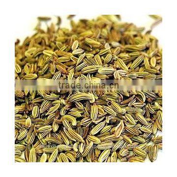 Aniseed Oil from India