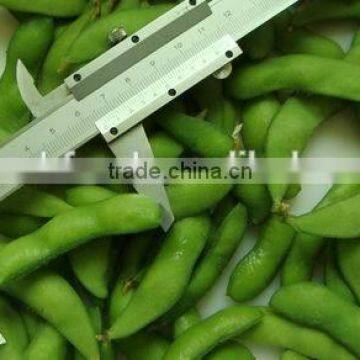 IQF Fresh Soybeans