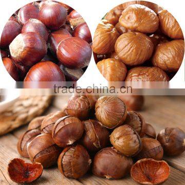2015 Best Fresh Wholesale Chestnut photo-4