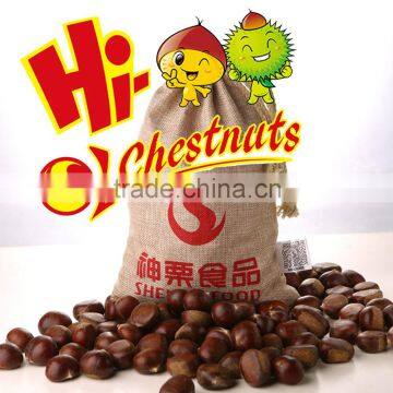 New crop Organic fresh Chestnuts ---Raw fresh Chestnut selling