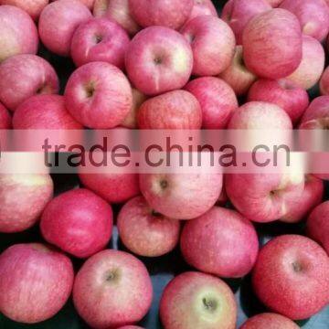 Paper Cap Bagged Qinguan Apple photo-2