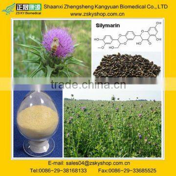 silymarin/Milk Thistle extract, Liver Protection Product, factory supply