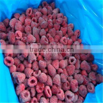 Bulk frozen raspberry