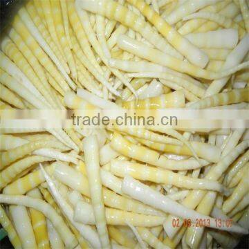 Market Prices for Bamboo Shoot Pickled Bamboo Shoot Marined Bamboo Shoots photo-3