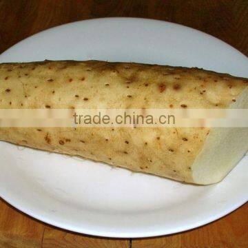 Chinese Yam Powder With Best Price photo-2