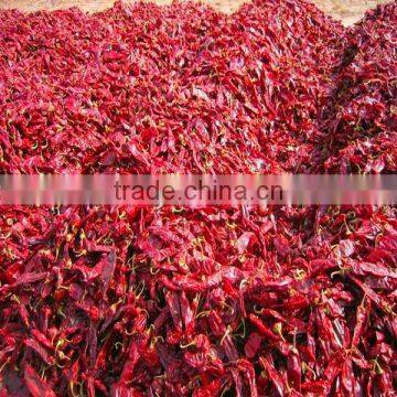 dried paprika ground