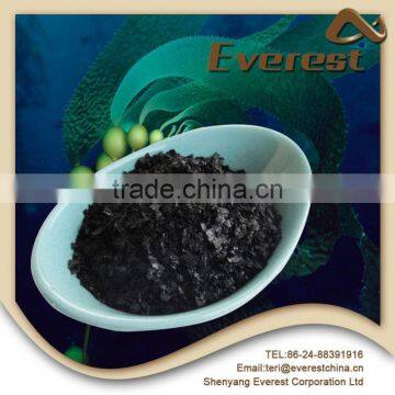 New Product High Concentrated Seaweed Extract 18% Flake