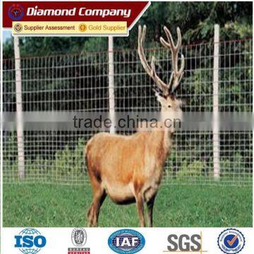 Popular Metal Horse Fence Mesh For Sale