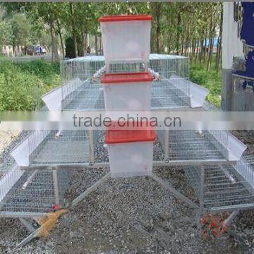 A Type Pyramid Chicken Cages Hot Sale in Alibaba