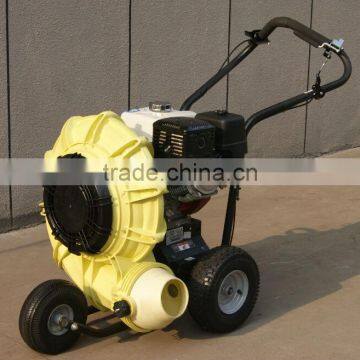 Economical Leaf Blower photo-5