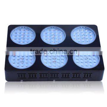2017 Hot Sales High Efficient 3W LED Diodes 300W 400W 600W Led Grow Light photo-3