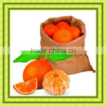 Jute Gunny Bag Jute Bag Best Price photo-5