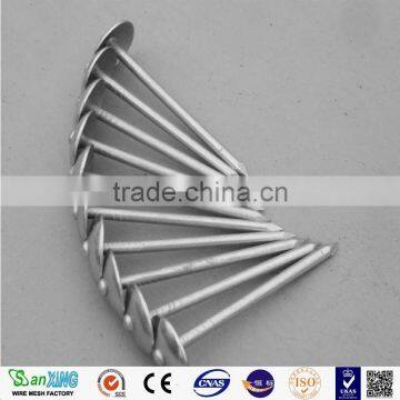 Best Quanlity 2.5 Inch and 3 Inch Roofing Nails photo-2