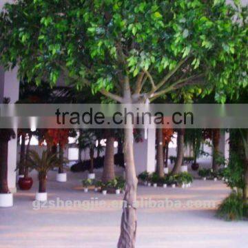 Artificial Polyscias Trees PE Leaves Fake Tree for Sale photo-2
