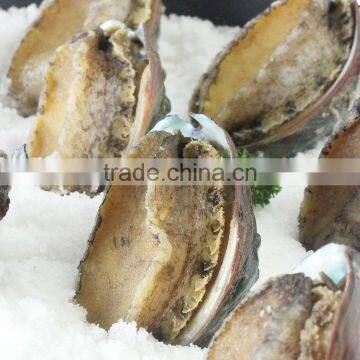 Frozen seafood exporter 100% natural frozen abalone