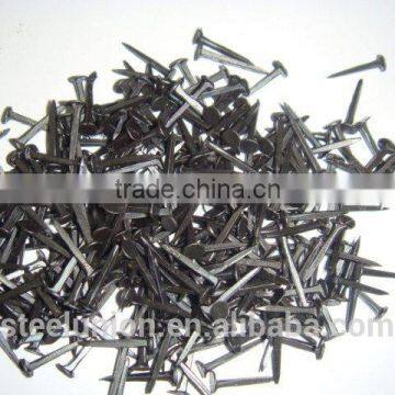 Shoe Tacks Nail photo-5