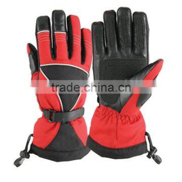 Ski Gloves