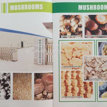 Factory Price Premium Brined Mushroom Whole in Drum