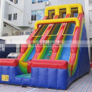 giant inflatable slide,commercial slide DS090