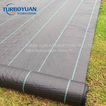 Walkable White PE Woven Ground Cover Weed Barrier Fabric pp for Greenhouse photo-5