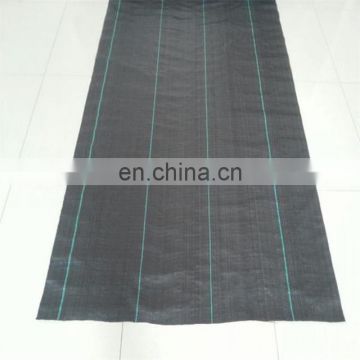 agricultural black weed mat /woven fabric sheet ground cover