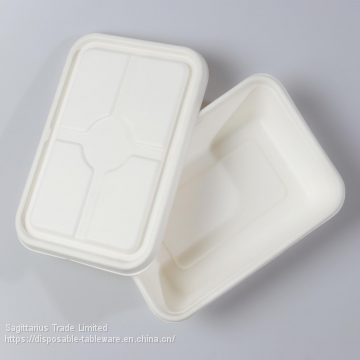 850ml  box with separate lid