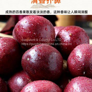 Passion Fruit photo-3