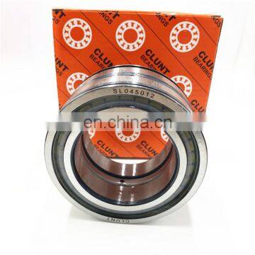 Double Row Full Complement Cylindrical Roller Sheave Bearing L04 5013 SL04 5013 PP