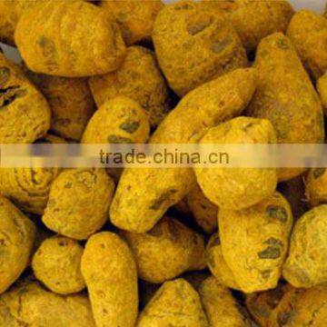 Turmeric Finger Nizamabad Bulb